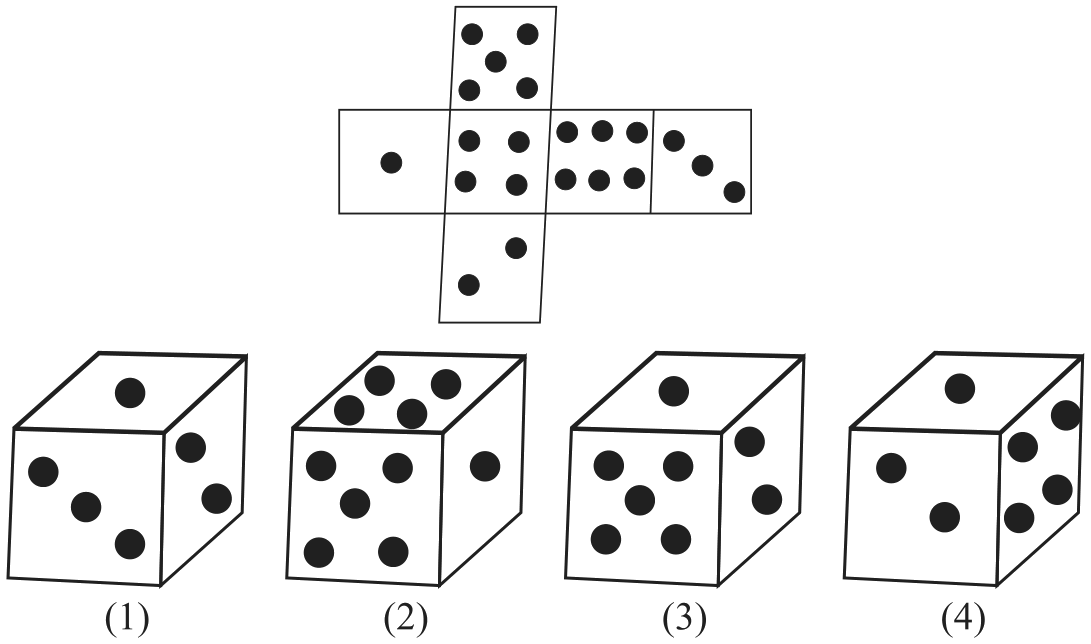 फाशाची घडण व चार फासे (1) ते (4).